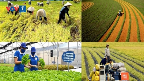Phát triển chuỗi giá trị nông sản: Tạo đà cho nông nghiệp bền vững (15/05/2026)