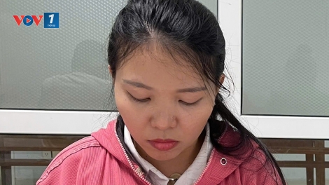 Khởi tố, bắt tạm giam “cò đất” lừa đảo chiếm đoạt hàng tỷ đồng
