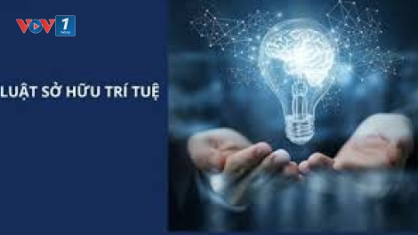 Luật Sở hữu trí tuệ mới: Mở đường cho thương mại hóa kết quả nghiên cứu