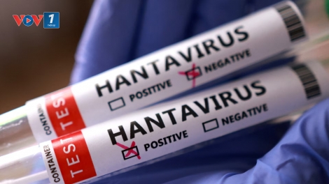 Châu Âu khẩn cấp sơ tán hành khách khỏi tàu du lịch có virus Hanta