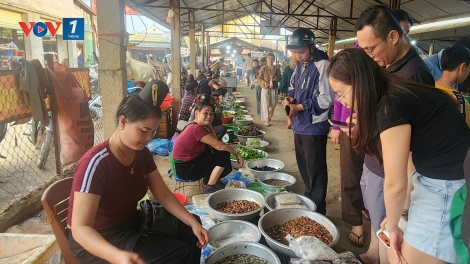 Theo dòng thời sự chiều 2/5/2026