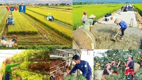 Thời sự 6h 23/5/2026:Đẩy nhanh tiến độ triển khai chương trình mục tiêu quốc gia giai đoạn 2026-2030