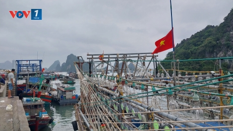 Quảng Ninh: Chuyển đổi nghề cho ngư dân, phát triển kinh tế biển bền vững