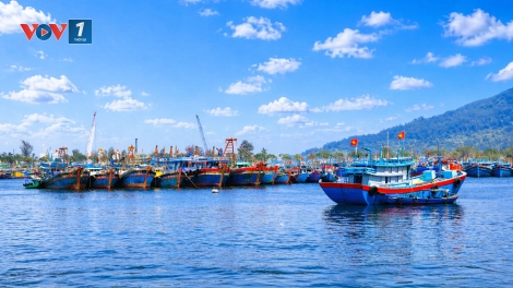Đà Nẵng lập hàng rào số chống khai thác thủy sản bất hợp pháp