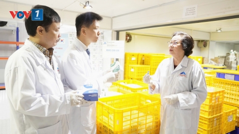 Xuất khẩu hơn 1 triệu liều vắc-xin viêm da nổi cục trên trâu, bò sang Hàn Quốc