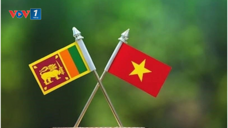 Đưa quan hệ Việt Nam - Sri Lanka phát triển thực chất hơn trong giai đoạn mới