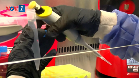 Argentina đối mặt với đợt bùng phát virus Hanta nghiêm trọng