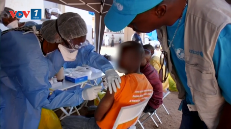Vaccine Ebola có thể được đưa vào thử nghiệm trong vòng 3 tháng tới