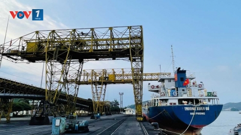 TKV dự báo nhu cầu sử dụng than trong tháng 5/2026 sẽ ổn định ở mức cao
