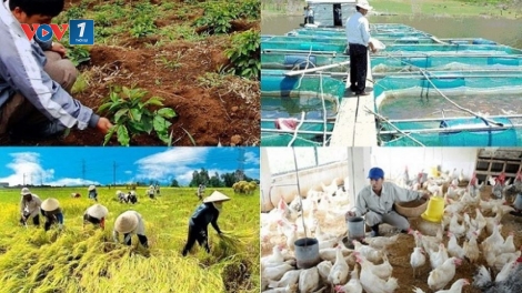 Thích ứng linh hoạt, nông nghiệp giữ nhịp tăng trưởng (12/5)