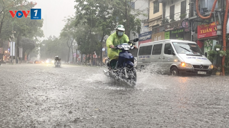 Dự báo thời tiết 11/05/2026: Hà Nội và Bắc Bộ mưa dông, nguy cơ lốc, sét và mưa đá