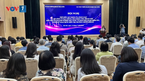 Nâng chuẩn công ty đại chúng để đáp ứng yêu cầu phát triển mới