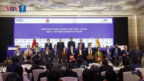 Diễn đàn Doanh nghiệp Việt Nam - Ấn Độ: Nâng tầm kết nối chiến lược trong chuỗi giá trị toàn cầu mới