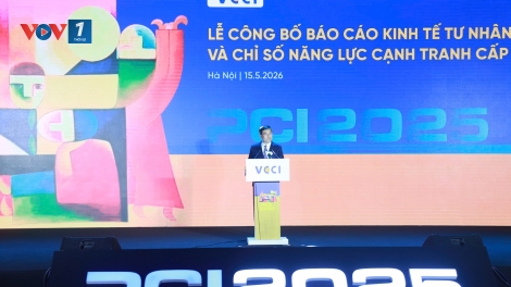 PCI 2.0: Từ đo lường môi trường kinh doanh sang đánh giá hệ sinh thái phát triển tư nhân