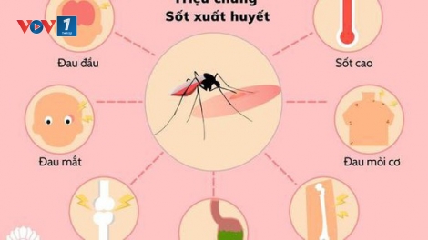 Nguy cơ bùng phát sốt xuất huyết tại TP.HCM, ngành y tế tăng tốc dập dịch
