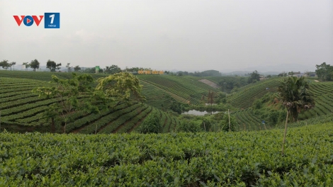Theo dòng thời sự sáng 25/5/2026