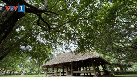 Ngày thu tháng Tám trên quê hương Cách mạng