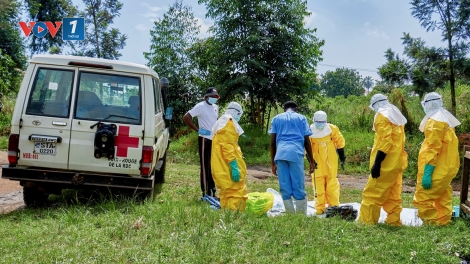 Bộ Y tế yêu cầu phòng chống Ebola, tăng cường giám sát, sàng lọc nghiêm ngặt