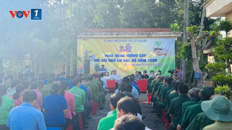 PHÁT ĐỘNG “TẾT TRỒNG CÂY ĐỜI ĐỜI NHỚ ƠN BÁC HỒ” NĂM 2026