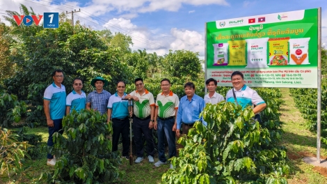Phú Mỹ đồng hành cùng nông dân Lào phát triển nông nghiệp hiện đại