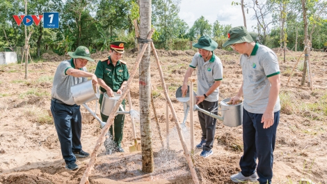 Cà Mau: Phát động Tết trồng cây “Đời đời nhớ ơn Bác Hồ”