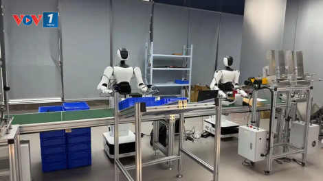 Trung Quốc khánh thành trung tâm đào tạo nghề quốc gia cho robot thông minh