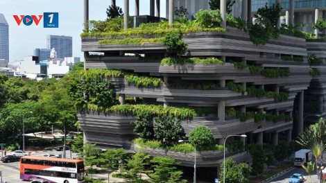Phát triển vật liệu xây dựng xanh – cần chiến lược đầu tư (11/5)