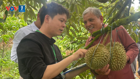 Dòng vốn tín dụng chính sách thay đổi diện mạo buôn làng Đắk Lắk