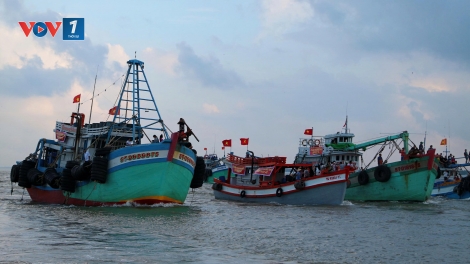 Chặn đường thủy sản bất hợp pháp, khẩn trương gỡ thẻ vàng EC
