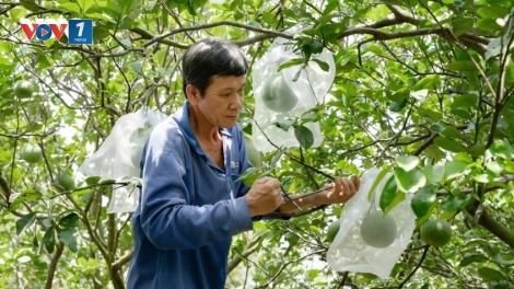 Thời sự 21h30 14/5/2026: Các địa phương phải hoàn tất rà soát việc cấp mã số vùng trồng trước 30/5
