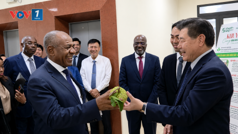 Khuyến nông mở rộng dư địa hợp tác nông nghiệp Việt Nam - Angola
