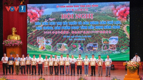 Vải thiều Bắc Ninh khẳng định thương hiệu trên thị trường quốc tế