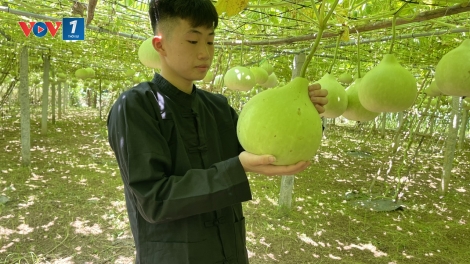 Theo dòng thời sự chiều 13/6/2026