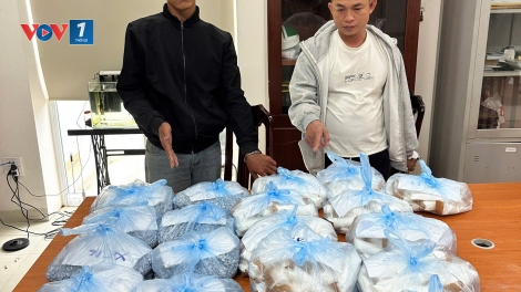 Chặn cái "chết trắng" từ cửa ngõ hàng không.