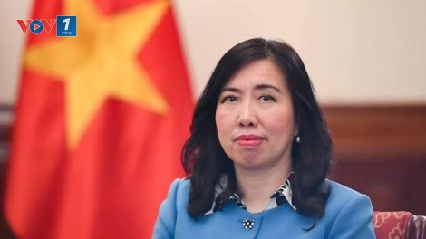 Triển khai Nghị quyết Đại hội XIV của Đảng: Kiều bào chung sức góp phần đưa đất nước vươn xa 