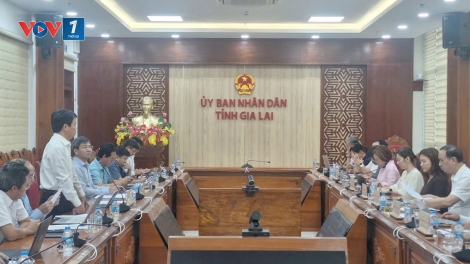 EVNNPT và ADB làm việc với UBND tỉnh Gia Lai về thẩm định tài trợ vốn ODA cho Dự án đường dây 500kV 
