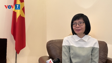 Đại sứ Tôn Thị Ngọc Hương:  Cần tranh thủ khuôn khổ hợp tác ASEAN để thúc đẩy kinh tế Việt Nam