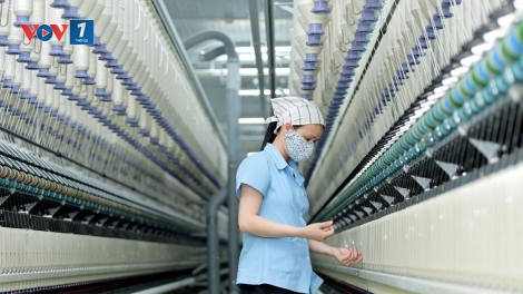Tăng cường truy xuất nguồn gốc, minh bạch chuỗi cung ứng trước yêu cầu mới của thị trường Hoa Kỳ