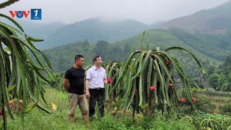 “Nút thắt” đất đai đang “trói chân” hợp tác xã