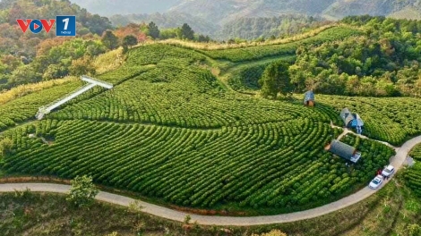 Sức nông dân bồi đắp cơ đồ đất nước 