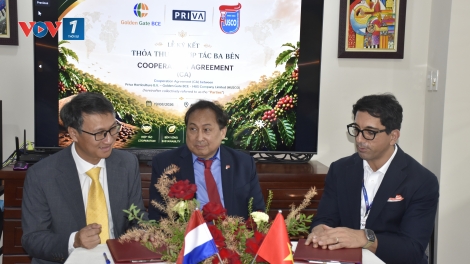 Thí điểm mô hình tưới tiêu và bón phân chính xác phục vụ sản xuất cà phê bền vững tại Việt Nam