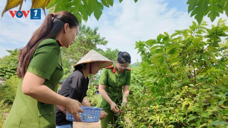 Quảng Ninh: Dân vận từ những việc gần dân