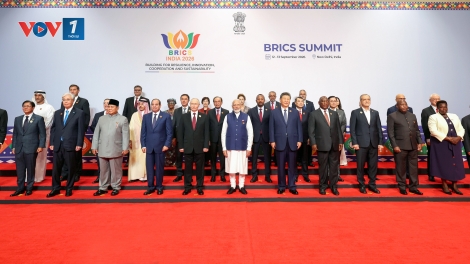 Dư luận về thành công của BRICS và sự đóng góp của Việt Nam