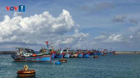 Đồng hành cùng ngư dân, khai thác thủy sản bền vững, trách nhiệm 