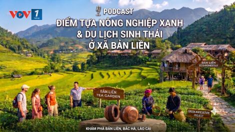 Lào Cai: Điểm tựa nông nghiệp xanh và du lịch sinh thái ở xã Bản Liền