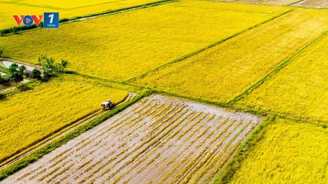 Phát triển xanh: Hiện thực hoá cam kết giảm phát thải ròng bằng "0" của Việt Nam