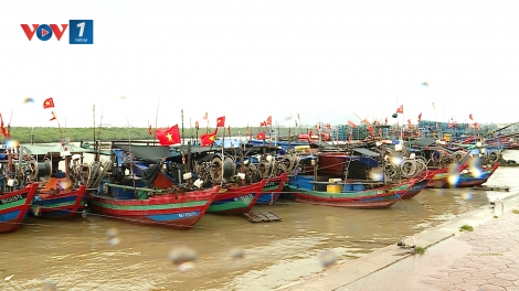 Hà Tĩnh chủ động ứng phó với áp thấp nhiệt đới
