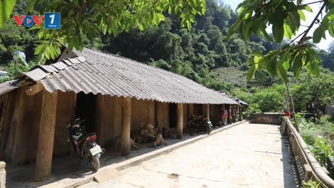  "Sơn La 'Xây' những bản không ma túy giữa đại ngàn"