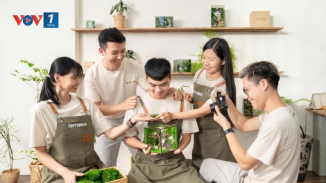 “Khu rừng nhỏ” từ những đôi tay đặc biệt