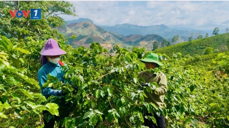 Loạt bài: "Đổi mới tư duy quản trị cấp xã để kiến tạo vùng quê hạnh phúc."